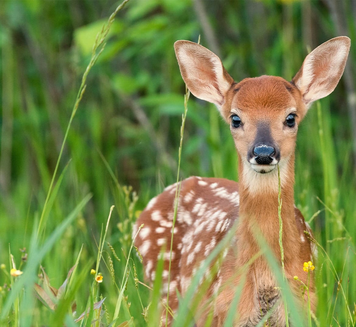 efbfe0ad-3842-458d-80b1-c2b5945dff4b